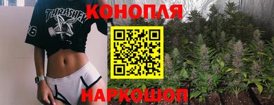 ECSTASY Гатчина