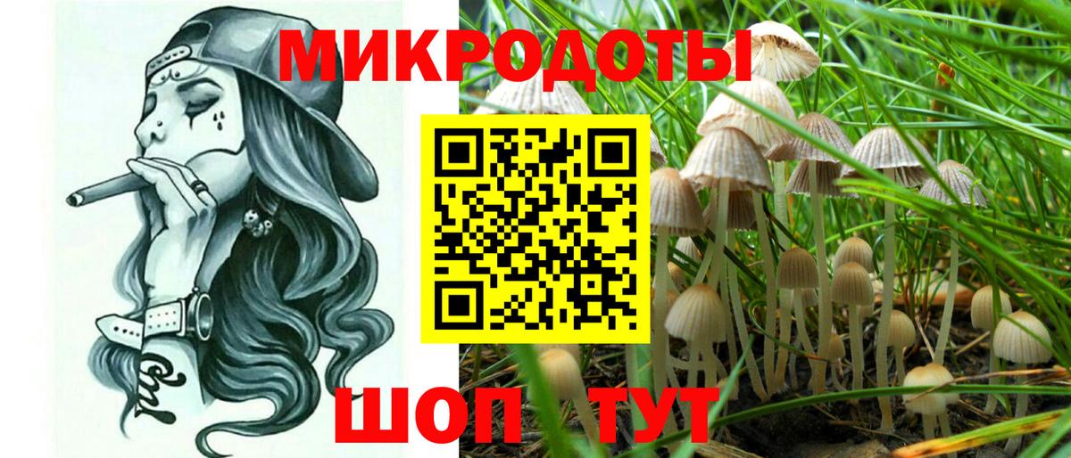 Псилоцибиновые грибы Cubensis Городец